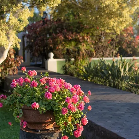 La Palma Jardin Aparthotel El Paso